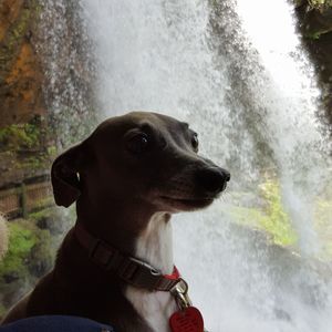 Meet your Posher, Karen